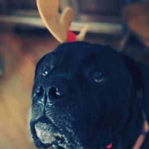 Meet your Posher, Tam